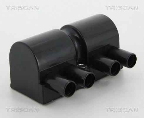 Ignition Coil (8860 10010)