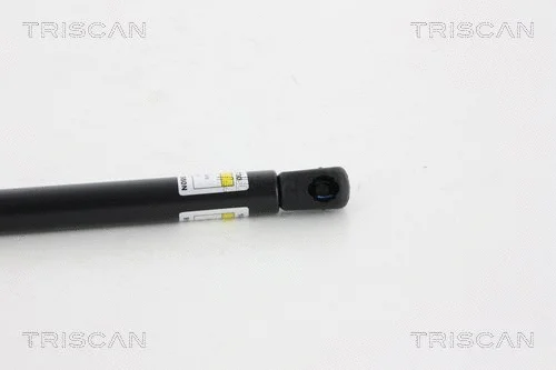 Gas Spring, boot/cargo area