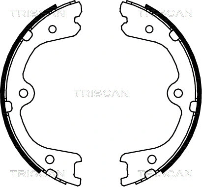 Brake Shoe Set, parking brake (8100 14008)