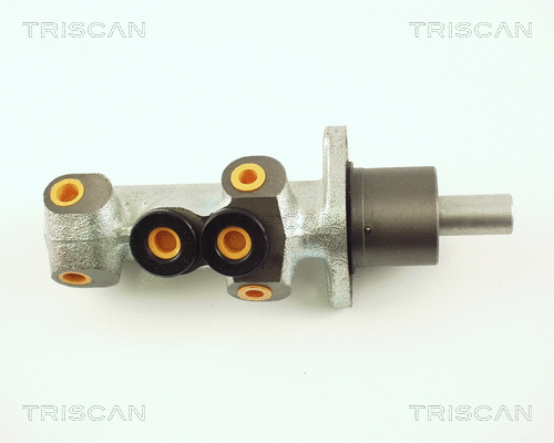 Brake Master Cylinder (8130 25110)