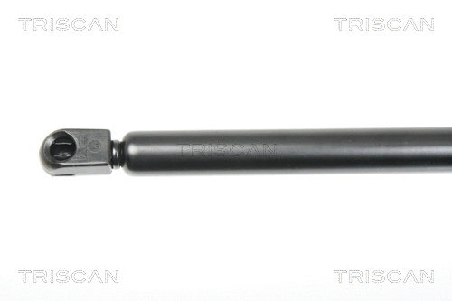 Gas Spring, boot/cargo area