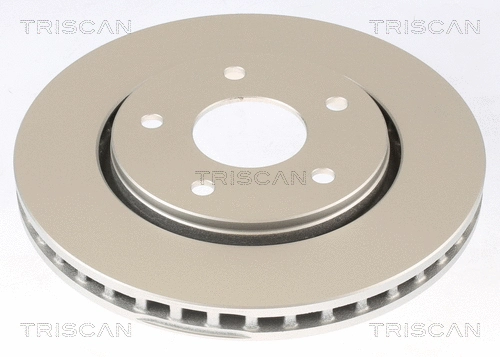 Brake Disc (8120 101035C)