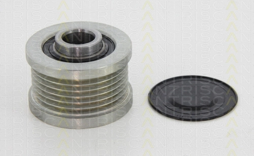 Alternator Freewheel Clutch (8641 144001)