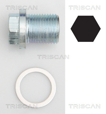 Screw Plug, oil sump (9500 1002)