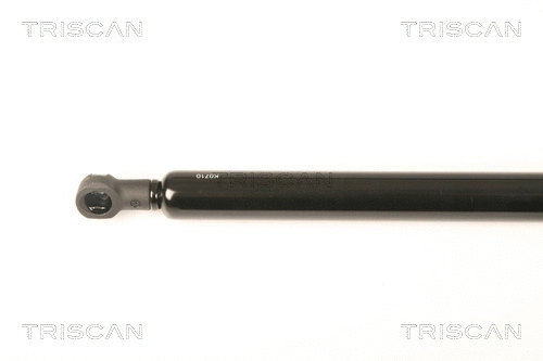 Gas Spring, boot/cargo area