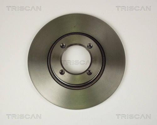 Brake Disc (8120 13117)
