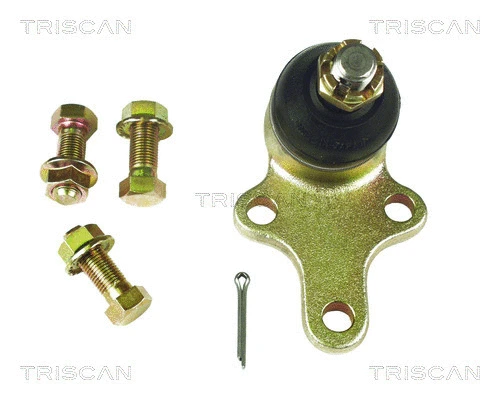 Ball Joint (8500 13503)