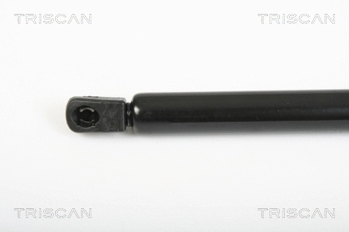 Gas Spring, boot/cargo area