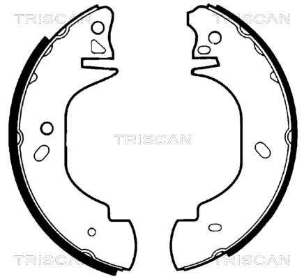 Brake Shoe Set (8100 16570)