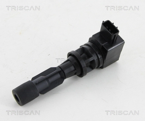 Ignition Coil (8860 50013)