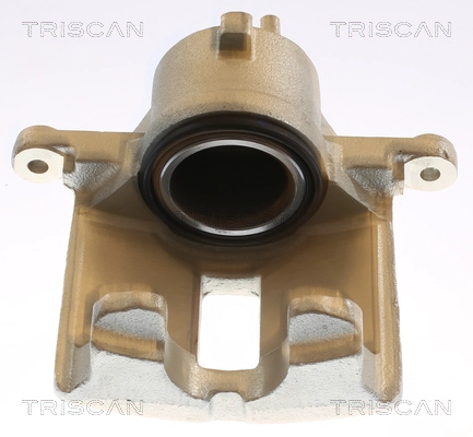 Brake Caliper (8175 14117)