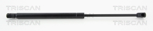 Gas Spring, boot/cargo area (8710 43230)