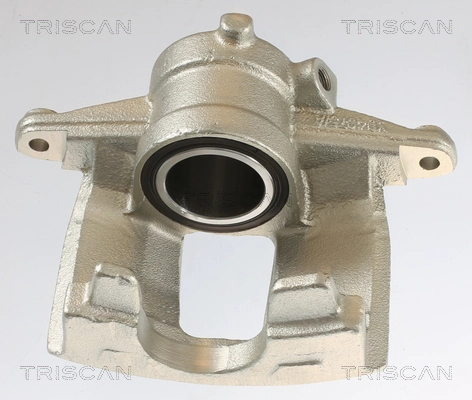 Brake Caliper (8175 10222)