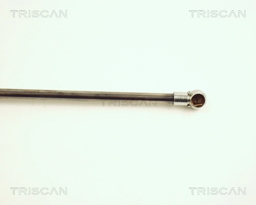 Gas Spring, boot/cargo area