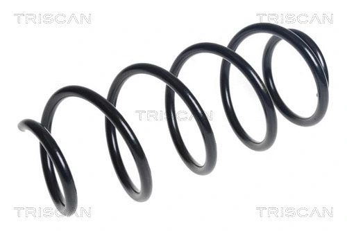 Suspension Spring (8750 16170)
