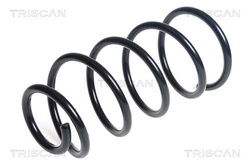 Suspension Spring (8750 16136)