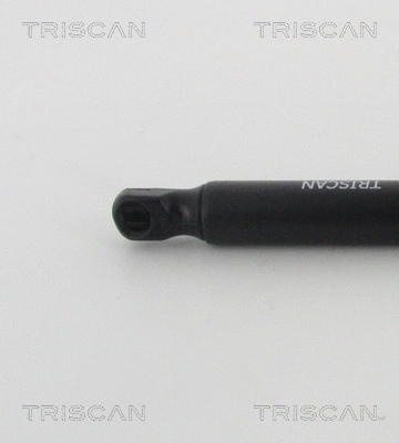Gas Spring, boot/cargo area
