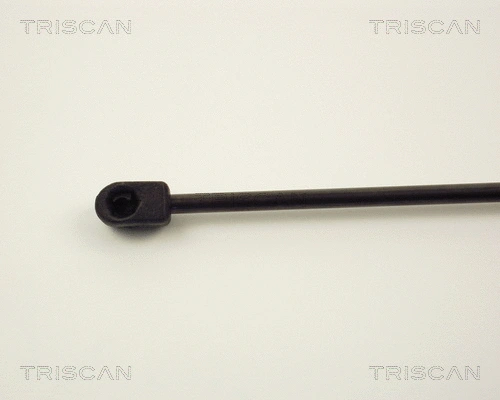 Gas Spring, boot/cargo area