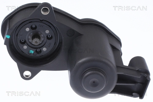 Control Element, parking brake caliper