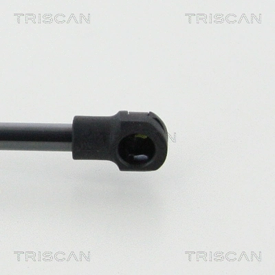 Gas Spring, boot/cargo area