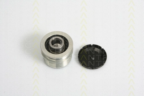 Alternator Freewheel Clutch (8641 234008)
