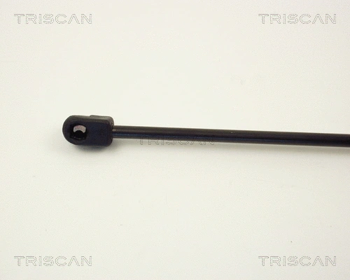 Gas Spring, boot/cargo area