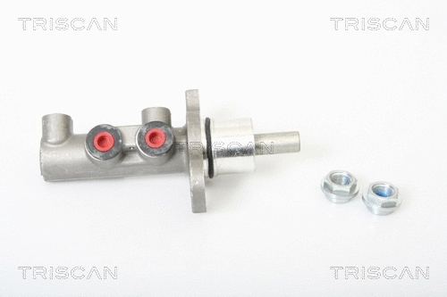 Brake Master Cylinder (8130 24149)