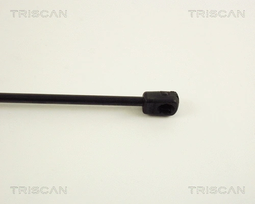 Gas Spring, boot/cargo area