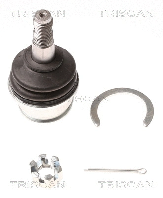Ball Joint (8500 13588)