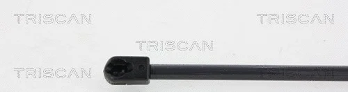 Gas Spring, boot/cargo area