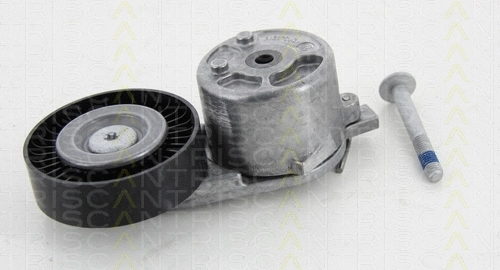 Belt Tensioner, V-ribbed belt (8641 163019)