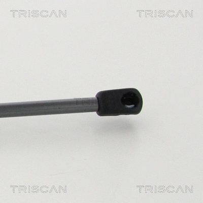 Gas Spring, boot/cargo area