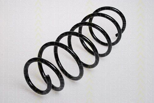 Suspension Spring (8750 16024)