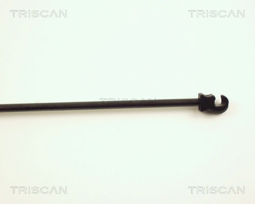 Gas Spring, boot/cargo area