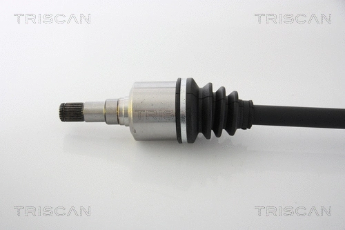 Drive Shaft
