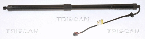 Gas Spring, boot/cargo area (8710 11313)