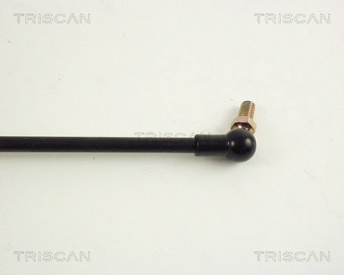 Gas Spring, boot/cargo area