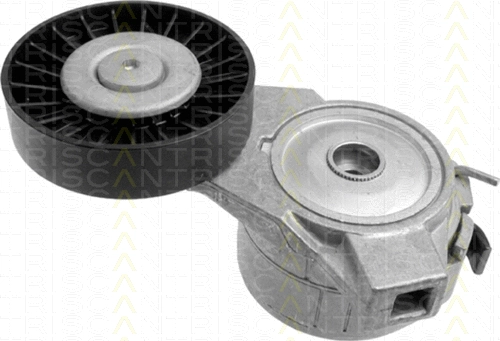 Belt Tensioner, V-ribbed belt (8641 653001)