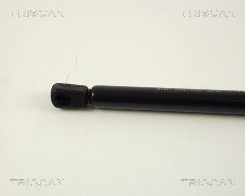Gas Spring, boot/cargo area