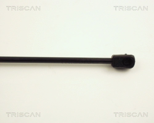 Gas Spring, boot/cargo area