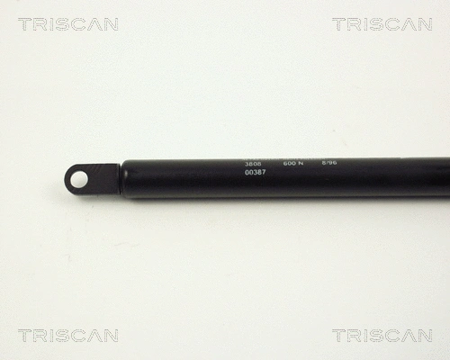 Gas Spring, boot/cargo area