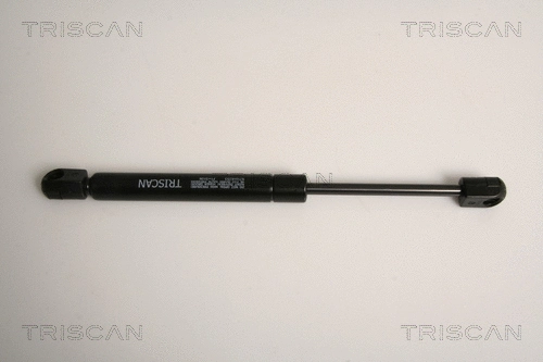 Gas Spring, boot/cargo area (8710 16253)