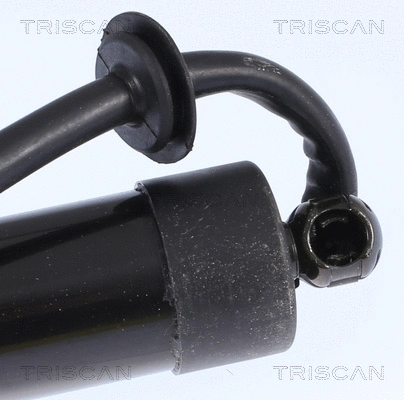 Gas Spring, boot/cargo area