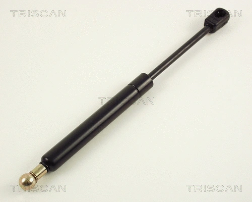 Gas Spring, boot/cargo area (8710 29220)