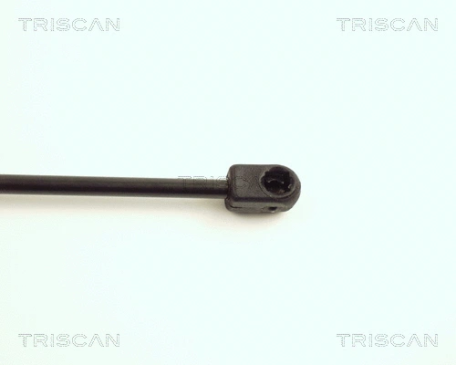Gas Spring, boot/cargo area