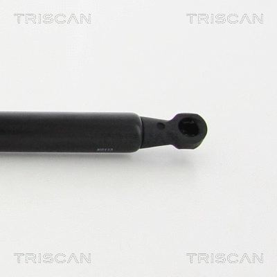 Gas Spring, bonnet