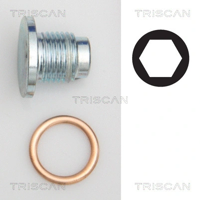Screw Plug, oil sump (9500 1019)