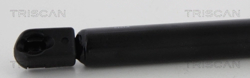 Gas Spring, boot/cargo area (8710 17221)