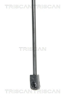 Gas Spring, boot/cargo area