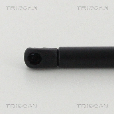 Gas Spring, bonnet